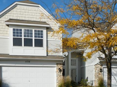 1132 Delta Ct, Elgin, IL 60123 photo 1