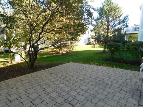 1132 Delta Ct, Elgin, IL 60123 photo 24