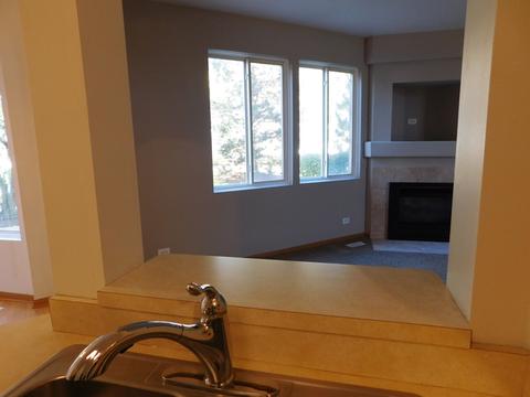 1132 Delta Ct, Elgin, IL 60123 photo 5