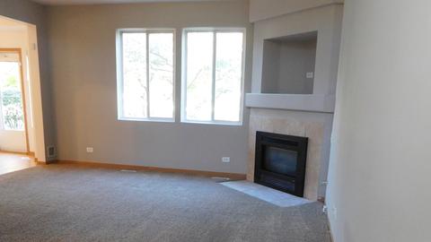 1132 Delta Ct, Elgin, IL 60123 photo 13