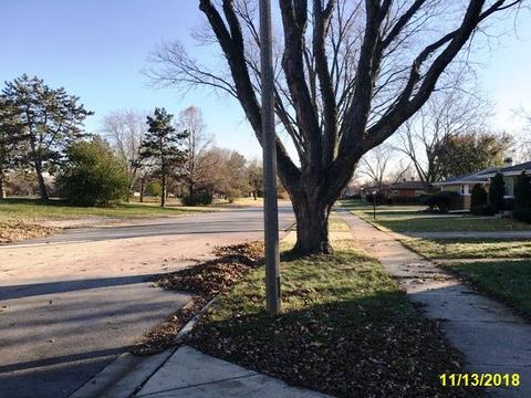 918 N School St, Addison, IL 60101 photo 2