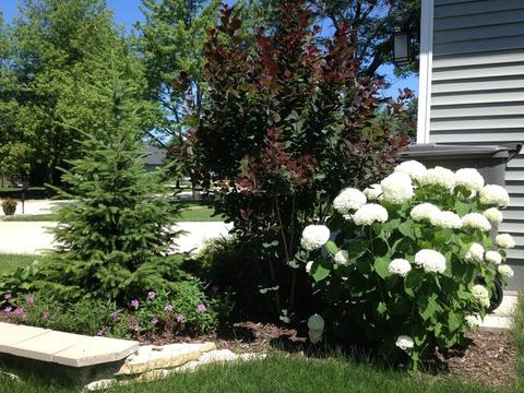 25429 W Willow Dr, Plainfield, IL 60544 photo 29