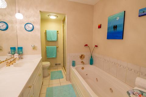 6 Birch Tree Ct, Elmhurst, IL 60126 photo 26