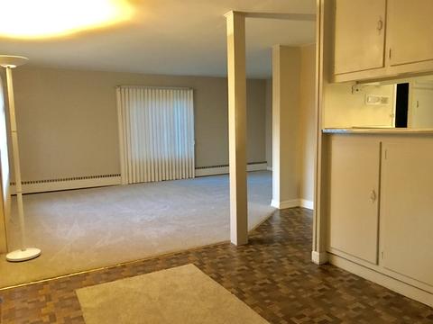 25 Lawrence Dr, Kankakee, IL 60901 photo 4