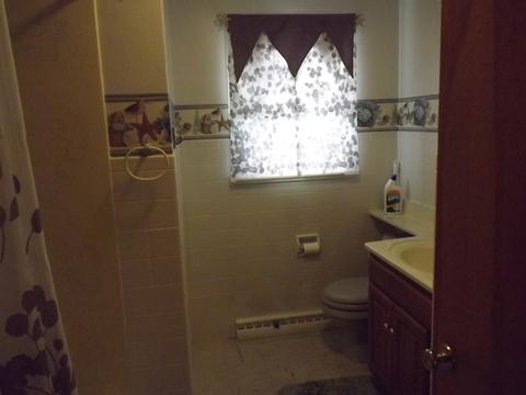 403 E 5th St, Gilman, IL 60938 photo 13