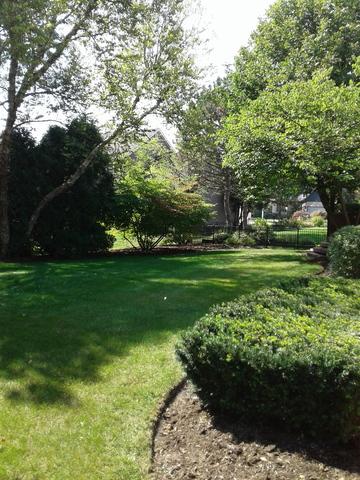 1130 Belter Dr, Wheaton, IL 60189 photo 35