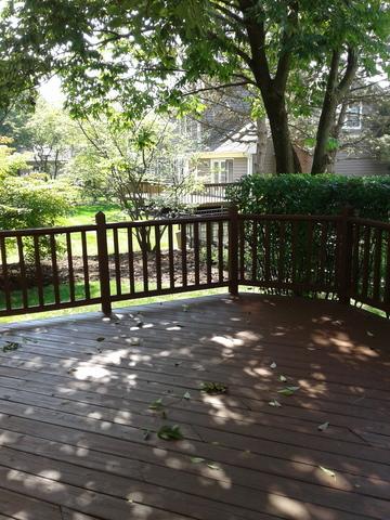 1130 Belter Dr, Wheaton, IL 60189 photo 33