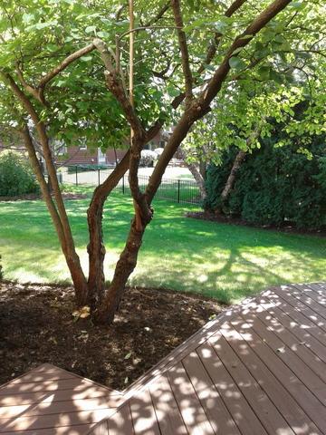 1130 Belter Dr, Wheaton, IL 60189 photo 34
