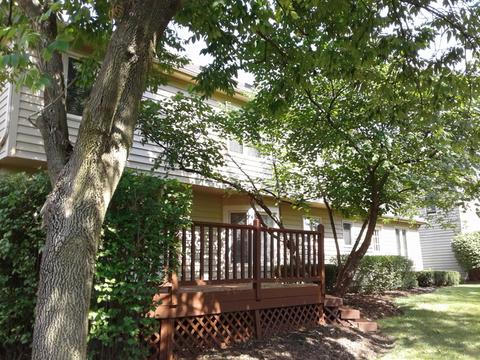 1130 Belter Dr, Wheaton, IL 60189 photo 32