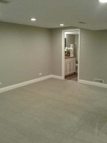 1130 Belter Dr, Wheaton, IL 60189 photo 29