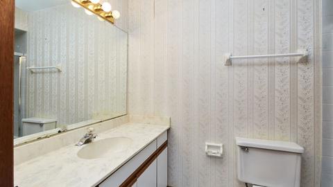 9752 S Beverly Ave, Chicago, IL 60643 photo 17
