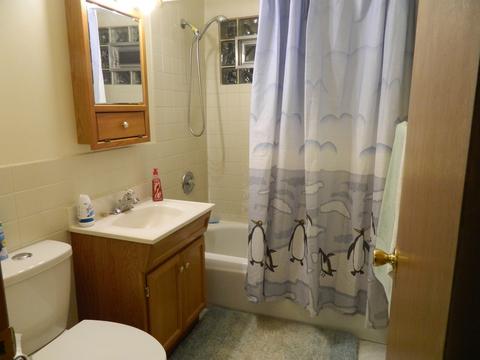 5443 S Hunt Ave, Summit, IL 60501 photo 9