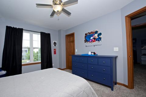 14709 Independence Dr, Plainfield, IL 60544 photo 30