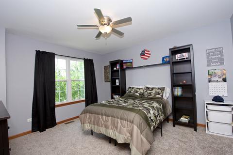 14709 Independence Dr, Plainfield, IL 60544 photo 27