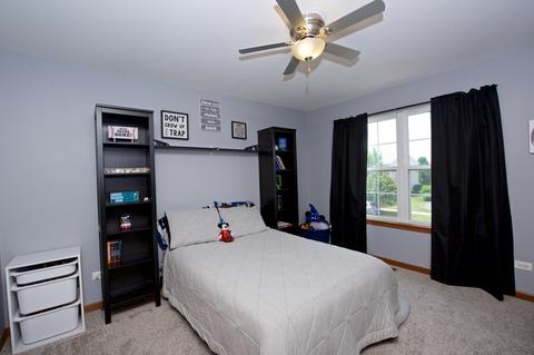 14709 Independence Dr, Plainfield, IL 60544 photo 29