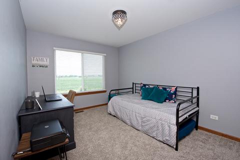 14709 Independence Dr, Plainfield, IL 60544 photo 32