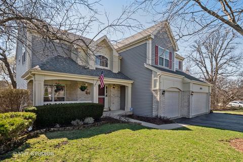 1171 Alder Ln, Bartlett, IL 60103 photo 1