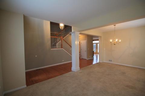 181 Boulder Ct, Gilberts, IL 60136 photo 10