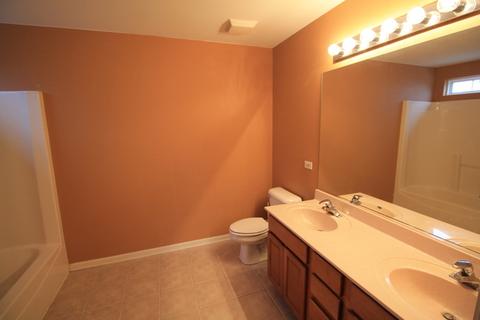 181 Boulder Ct, Gilberts, IL 60136 photo 17