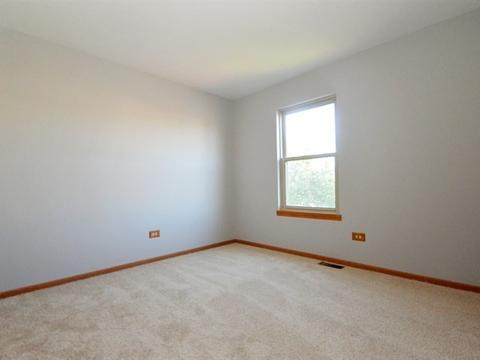 5309 Pine Trails Cir, Plainfield, IL 60586 photo 17