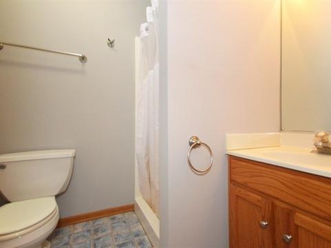 5309 Pine Trails Cir, Plainfield, IL 60586 photo 13