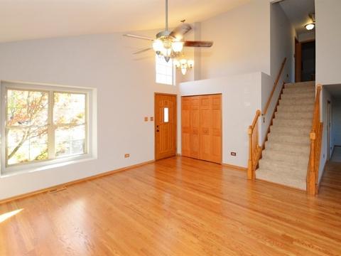 5309 Pine Trails Cir, Plainfield, IL 60586 photo 5