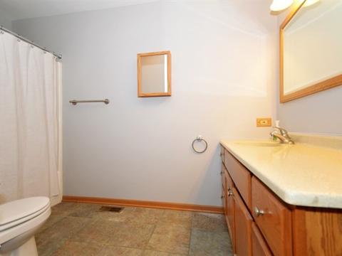 5309 Pine Trails Cir, Plainfield, IL 60586 photo 19