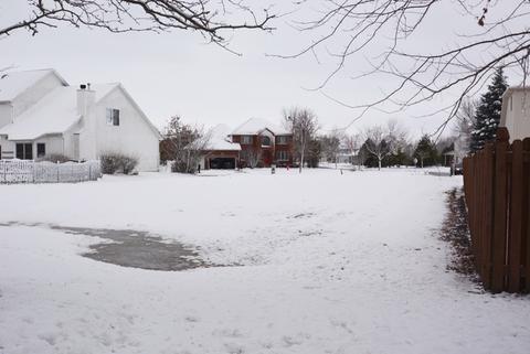 13259 Wellesley Cir, Plainfield, IL 60585 photo 4