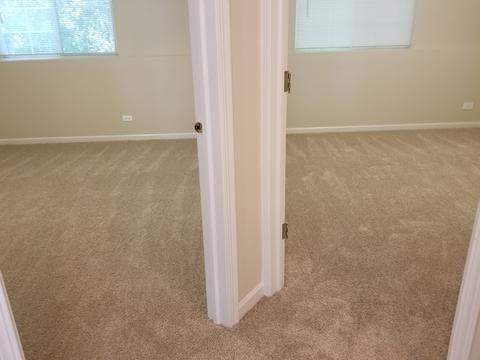 651 Conservatory Ln, Aurora, IL 60502 photo 19