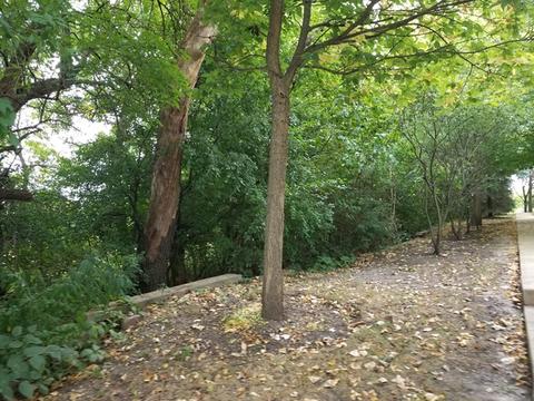 651 Conservatory Ln, Aurora, IL 60502 photo 17
