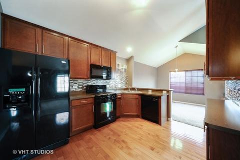 3368 Cameron Dr, Elgin, IL 60124 photo 5