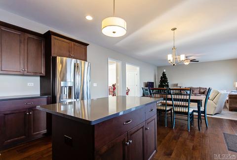 3644 Ancient Oak Dr, Elgin, IL 60124 photo 7