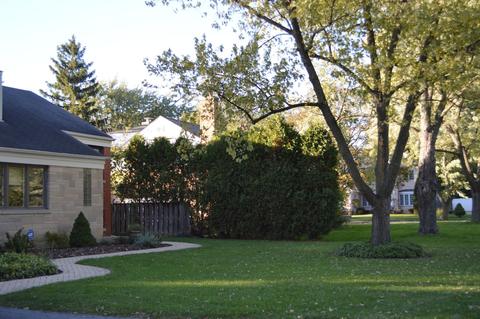 936 Echo Ln, Glenview, IL 60025 photo 21