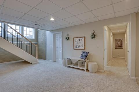 1 Doane Dr, Mansfield, IL 61854 photo 34