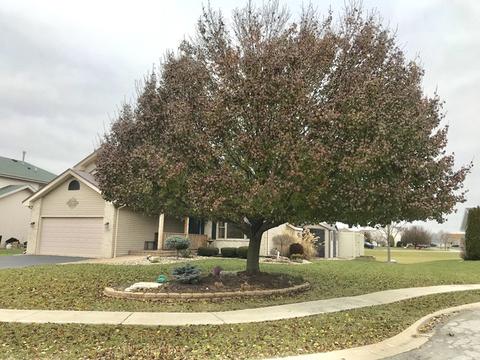 1322 Heather Rd E, Bourbonnais, IL 60914 photo 61