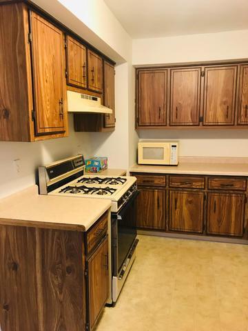 205 W North St, Dwight, IL 60420 photo 3