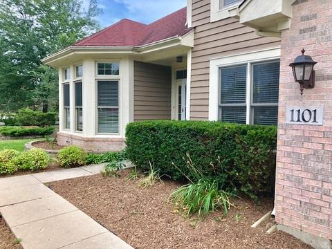 1101 Struckman Blvd, Bartlett, IL 60103 photo 4