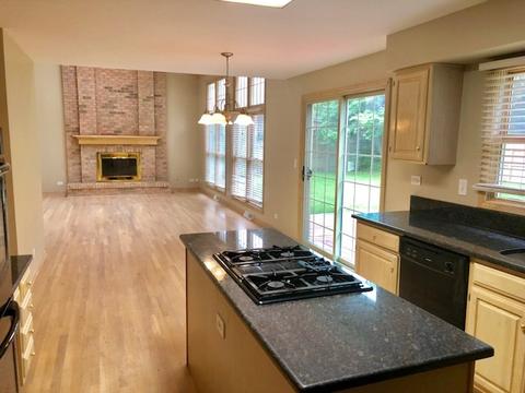 1101 Struckman Blvd, Bartlett, IL 60103 photo 5