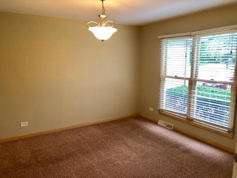 1101 Struckman Blvd, Bartlett, IL 60103 photo 15