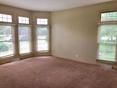 1101 Struckman Blvd, Bartlett, IL 60103 photo 14