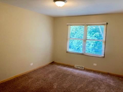 1101 Struckman Blvd, Bartlett, IL 60103 photo 25