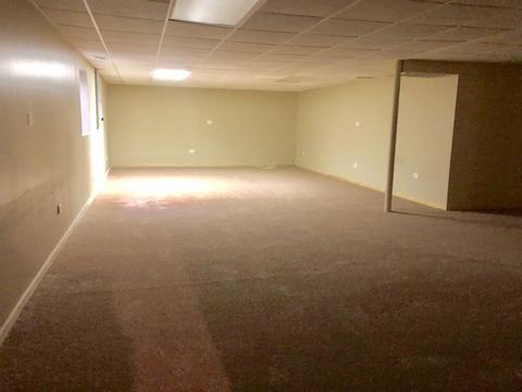 1101 Struckman Blvd, Bartlett, IL 60103 photo 21