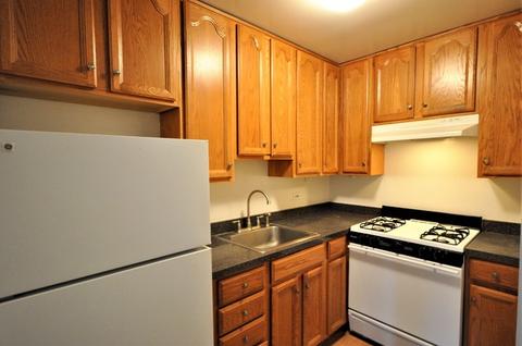 1 E Scott St #1307, Chicago, IL 60610 photo 5