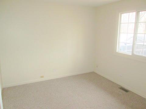 6 Devon Ct, Bolingbrook, IL 60440 photo 20