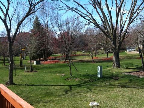 2510 Glen Eagles Dr, Olympia Fields, IL 60461 photo 28