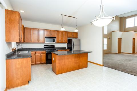 23001 Redwing Ct, Plainfield, IL 60586 photo 9