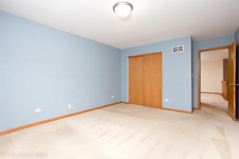 23001 Redwing Ct, Plainfield, IL 60586 photo 20