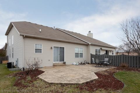 23001 Redwing Ct, Plainfield, IL 60586 photo 26