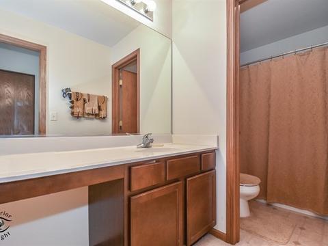 6314 Cornfield Rd, Matteson, IL 60443 photo 20
