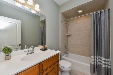 1008 James Ct, Wheaton, IL 60189 photo 42
